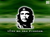 Give me the freedomr
